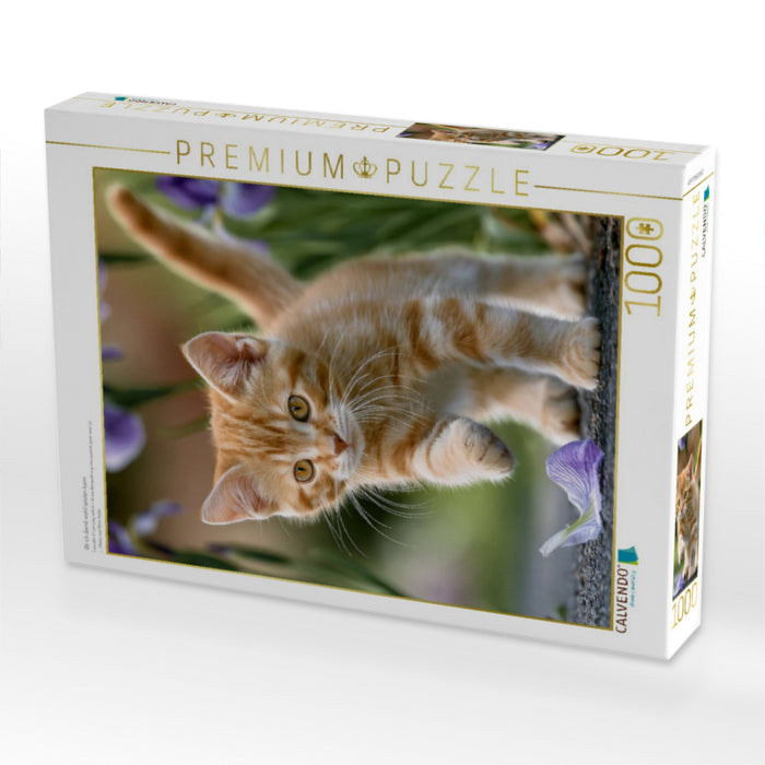 Ob ich damit wohl spielen kann - CALVENDO Foto-Puzzle'