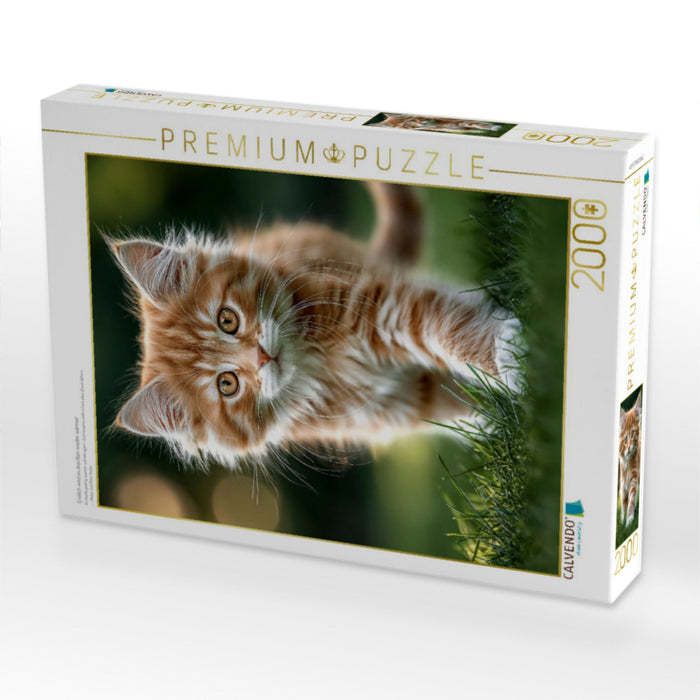 Endlich wird es draußen wieder wärmer - CALVENDO Foto-Puzzle'
