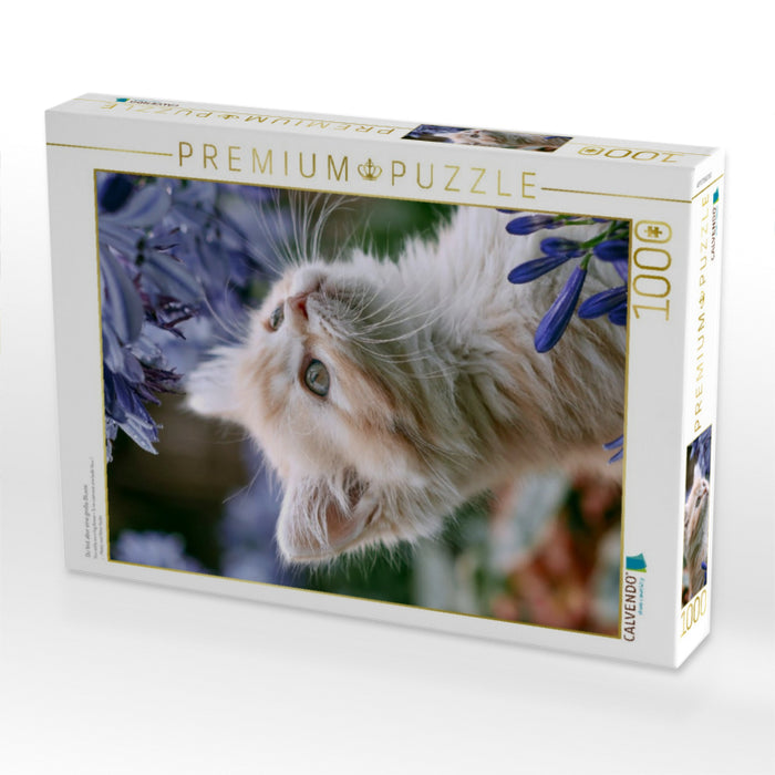 Du bist aber eine große Blume - CALVENDO Foto-Puzzle'