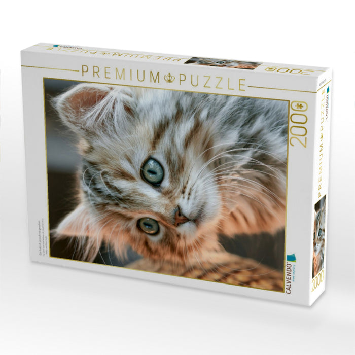 Das hab ich ja noch nie gesehen - CALVENDO Foto-Puzzle'