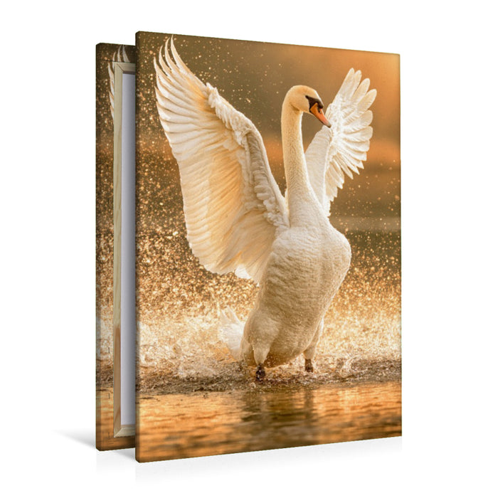 Premium Textil-Leinwand Pure Schönheit der Natur