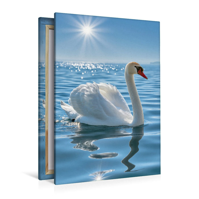 Premium Textil-Leinwand Im Licht des Sommers