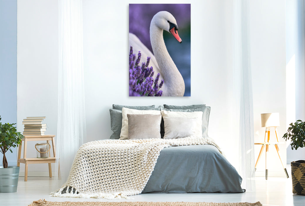 Premium Textil-Leinwand Im Zauber der Farben