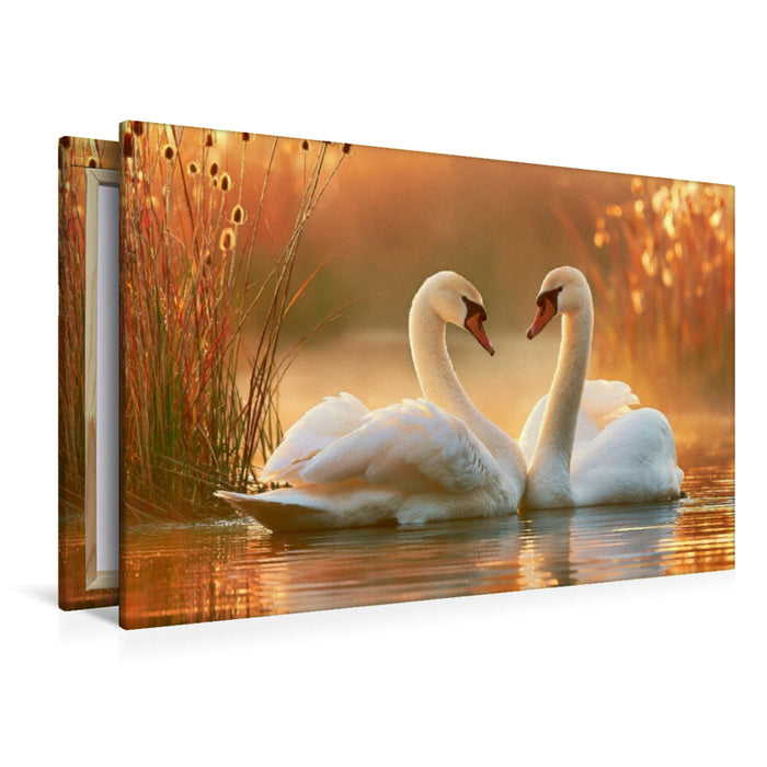 Premium Textil-Leinwand Goldene Tage voller Anmut