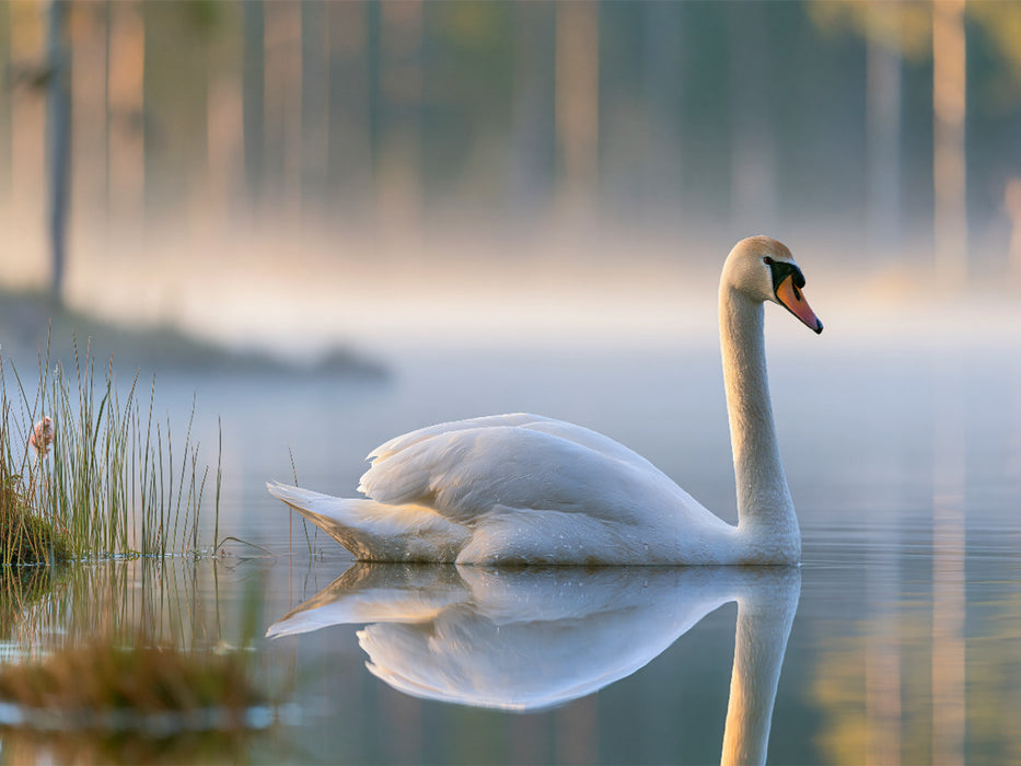 Stille wird sichtbar - CALVENDO Foto-Puzzle'