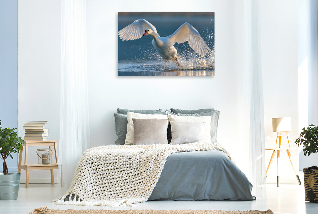 Premium Textil-Leinwand Anmut in Bewegung