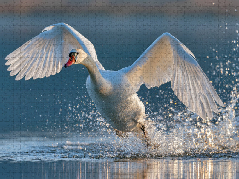 Anmut in Bewegung - CALVENDO Foto-Puzzle'
