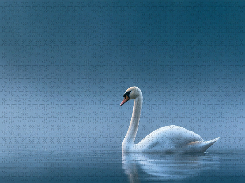 Anmut kennt keine Jahreszeit - CALVENDO Foto-Puzzle'