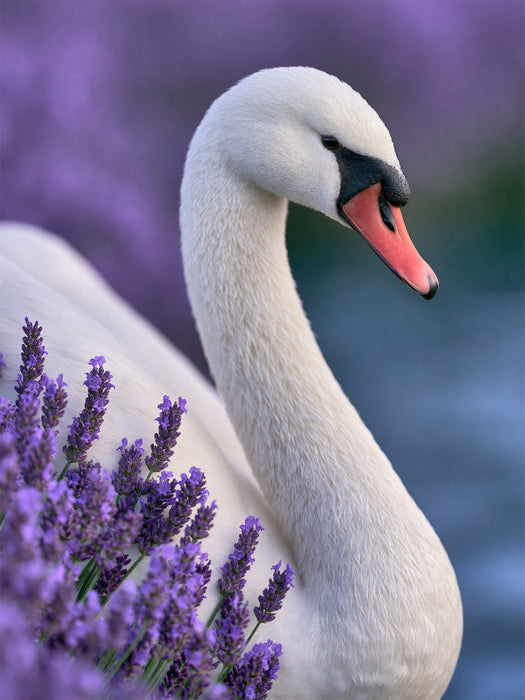 Im Zauber der Farben - CALVENDO Foto-Puzzle'