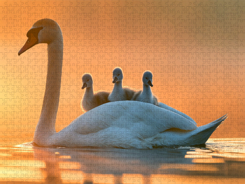 Geborgenheit auf leisen Wellen - CALVENDO Foto-Puzzle'