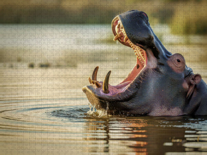 Wo Natur ihre Muskeln zeigt. - CALVENDO Foto-Puzzle'