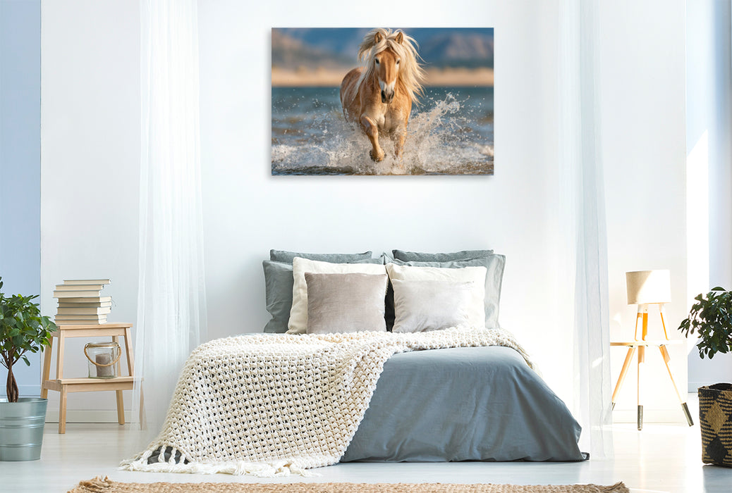Premium Textil-Leinwand Mit jedem Galopp wächst die Freiheit