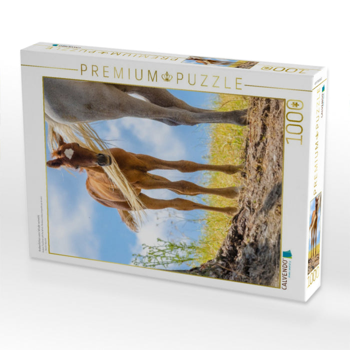 Araberfohlen vom Winde verweht - CALVENDO Foto-Puzzle'