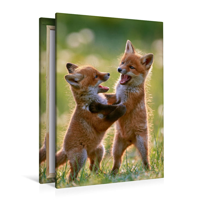 Premium Textil-Leinwand Ein Motiv aus dem Kalender Fuchszauber