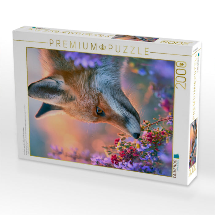 Ein Motiv aus dem Kalender Fuchszauber - CALVENDO Foto-Puzzle'