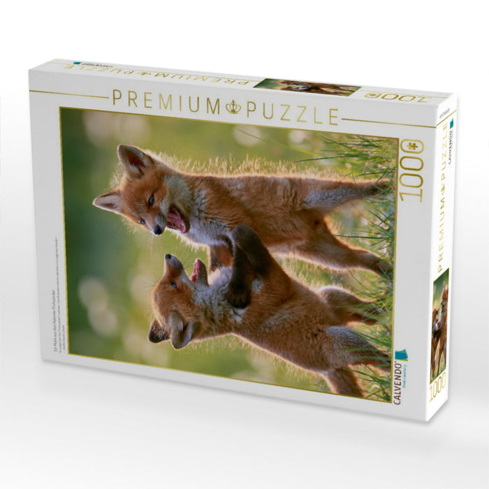 Ein Motiv aus dem Kalender Fuchszauber - CALVENDO Foto-Puzzle'