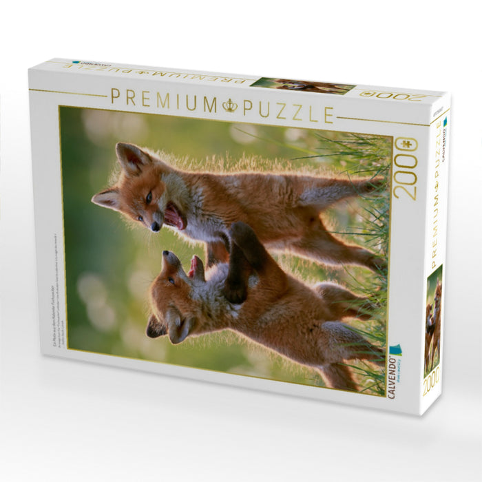 Ein Motiv aus dem Kalender Fuchszauber - CALVENDO Foto-Puzzle'