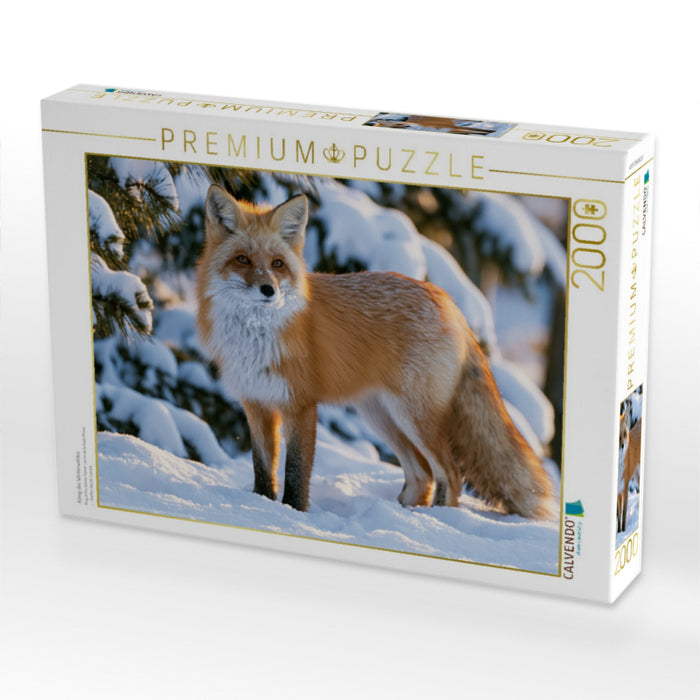 König des Winterwaldes - CALVENDO Foto-Puzzle'
