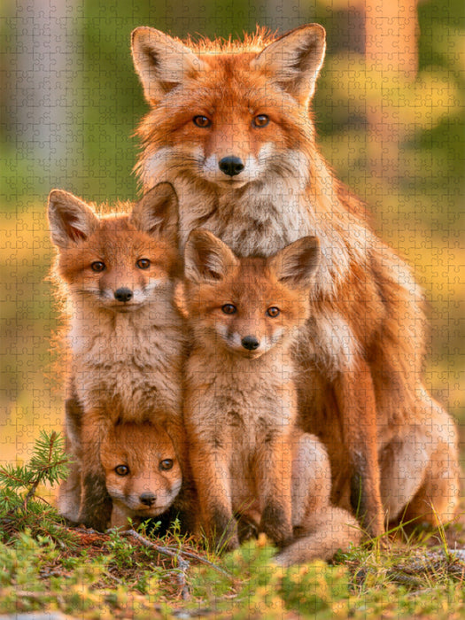 Geborgen im Wald - CALVENDO Foto-Puzzle'