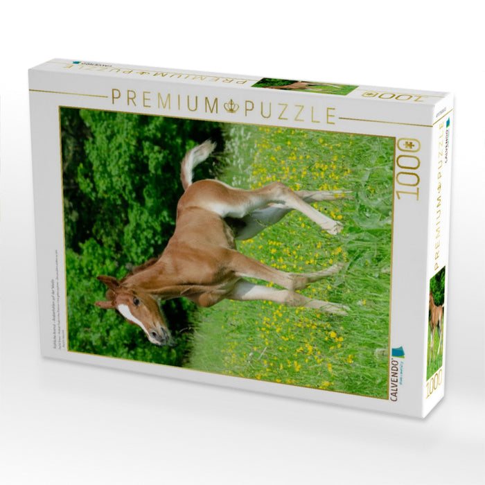 Fröhliche Anmut - Araberfohlen auf der Weide - CALVENDO Foto-Puzzle'