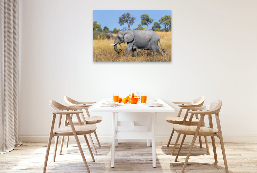 Premium Textil-Leinwand Afrikanischer Elefant, Okavango Delta, Botswana.