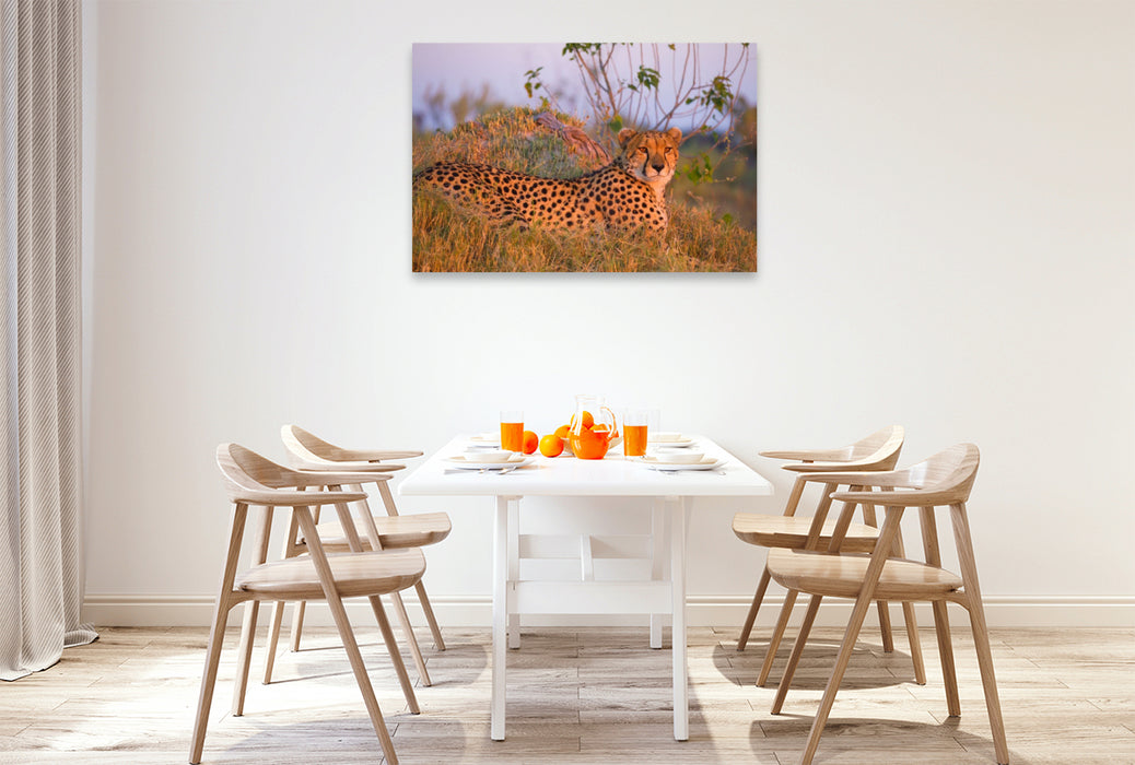 Premium Textil-Leinwand Gepard, Masai Mara, Kenia.