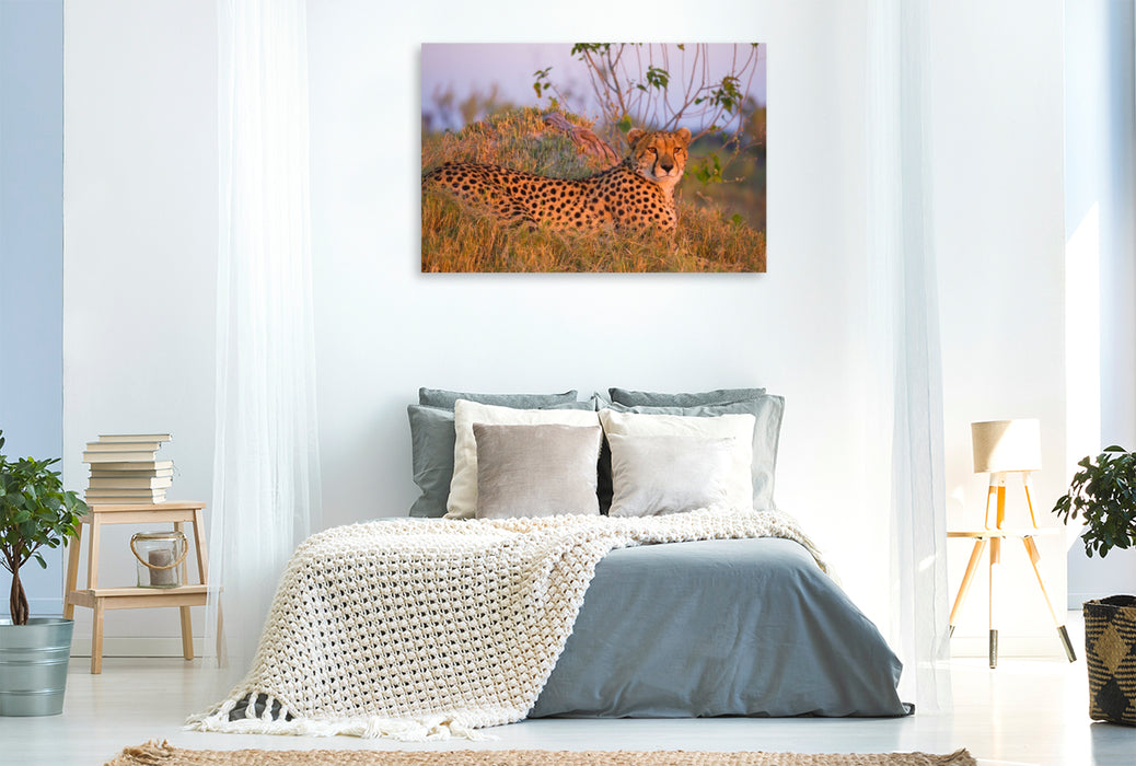 Premium Textil-Leinwand Gepard, Masai Mara, Kenia.