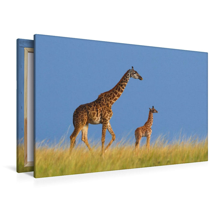 Premium Textil-Leinwand Massai-Giraffen, Masai Mara, Kenia.
