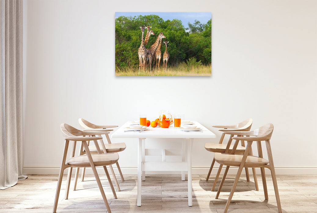 Premium Textil-Leinwand Südafrikanische Giraffen, Okavango Delta, Botswana.