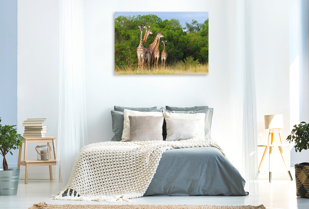 Premium Textil-Leinwand Südafrikanische Giraffen, Okavango Delta, Botswana.