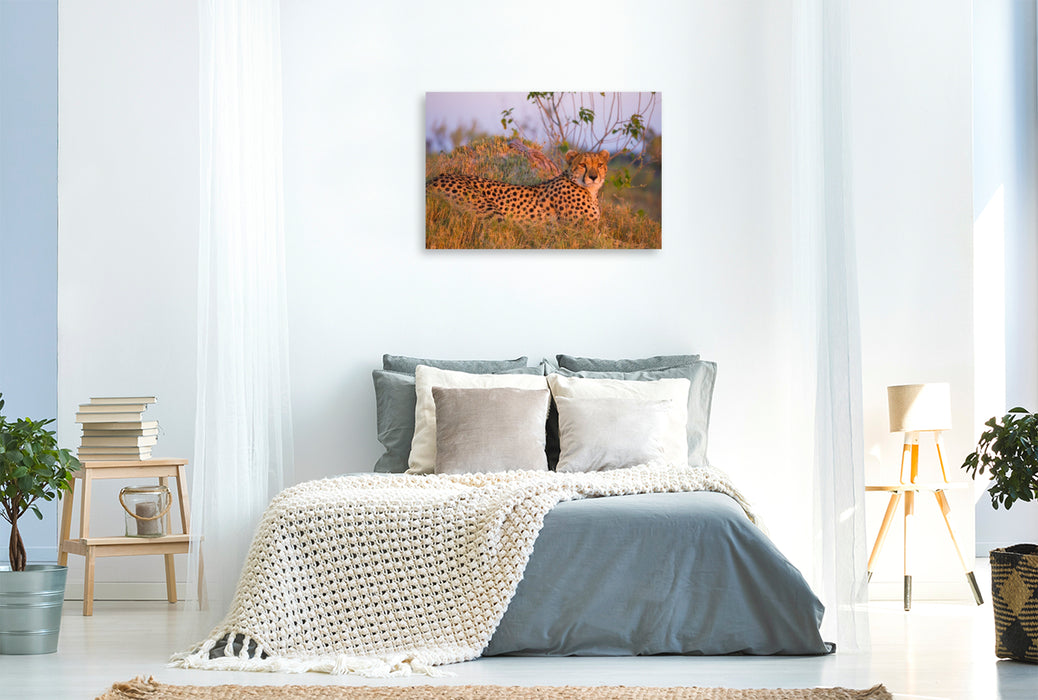 Premium Textil-Leinwand Gepard, Masai Mara, Kenia.