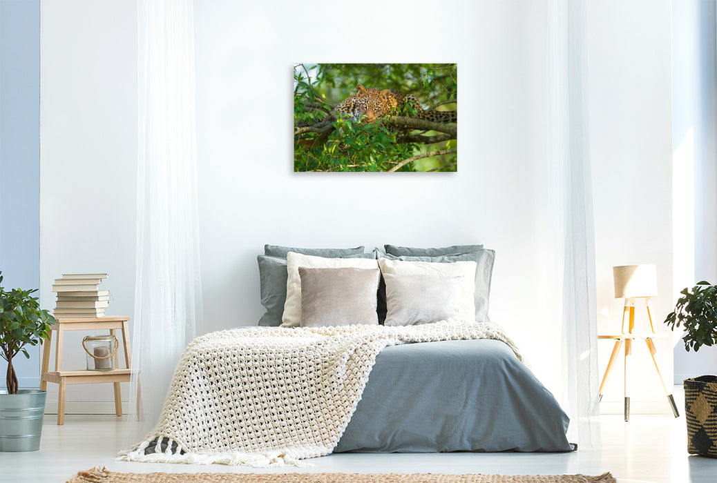 Premium Textil-Leinwand Leopard, Masai Mara, Kenia.