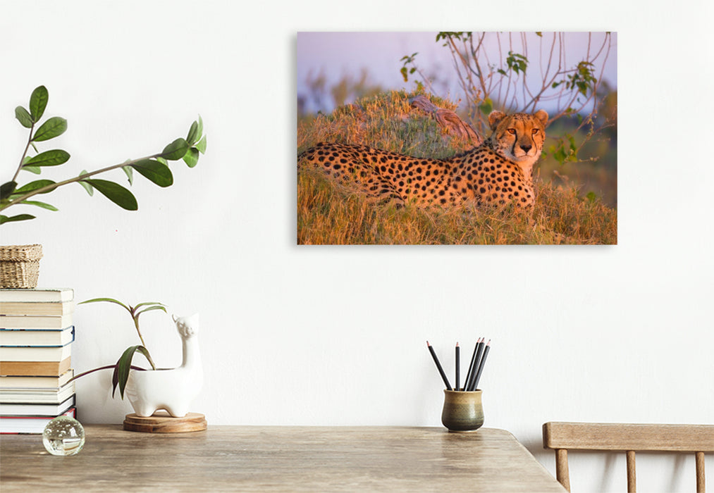 Premium Textil-Leinwand Gepard, Masai Mara, Kenia.