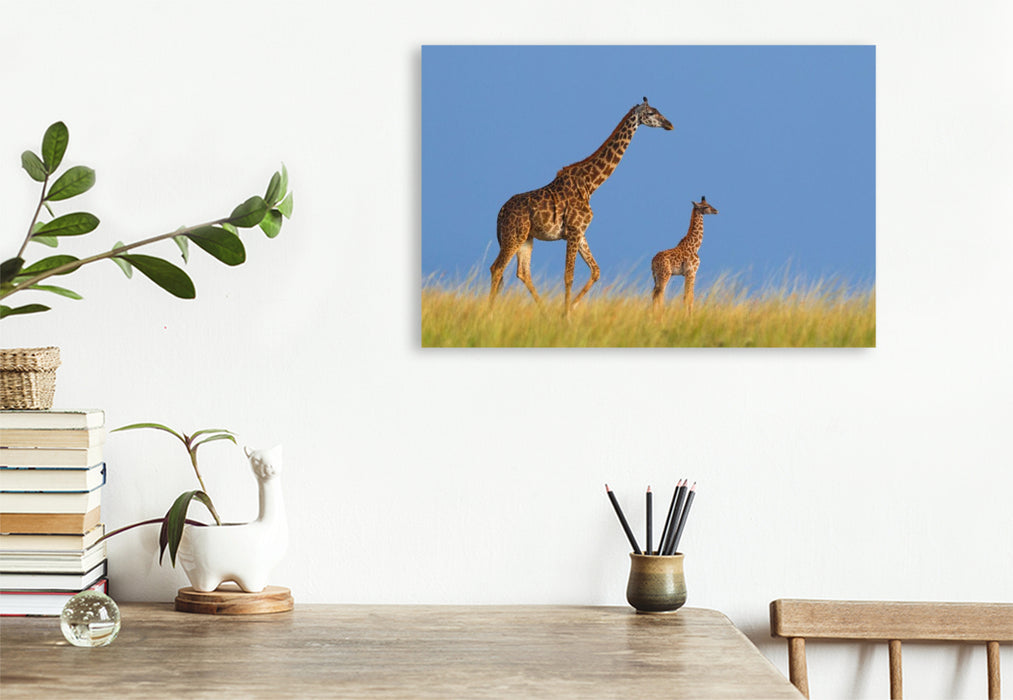 Premium Textil-Leinwand Massai-Giraffen, Masai Mara, Kenia.
