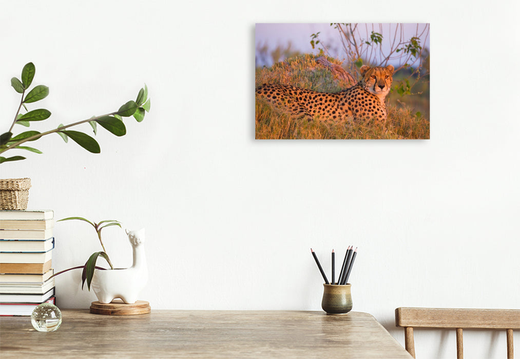 Premium Textil-Leinwand Gepard, Masai Mara, Kenia.