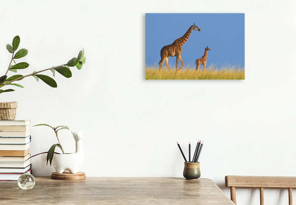 Premium Textil-Leinwand Massai-Giraffen, Masai Mara, Kenia.