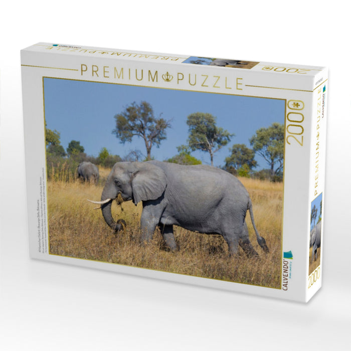Afrikanischer Elefant, Okavango Delta, Botswana. - CALVENDO Foto-Puzzle'