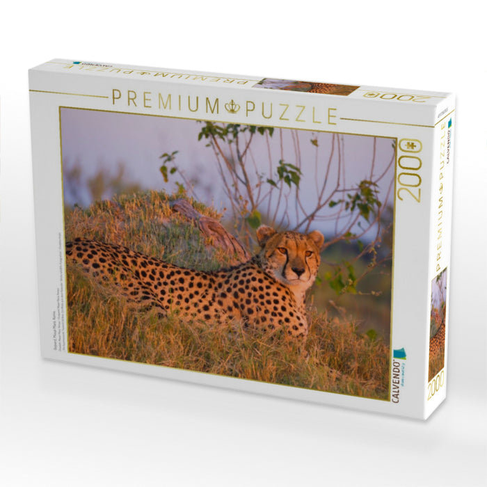 Gepard, Masai Mara, Kenia. - CALVENDO Foto-Puzzle'