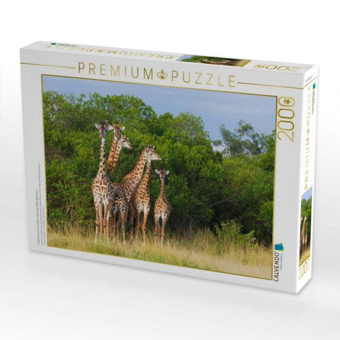 Südafrikanische Giraffen, Okavango Delta, Botswana. - CALVENDO Foto-Puzzle'
