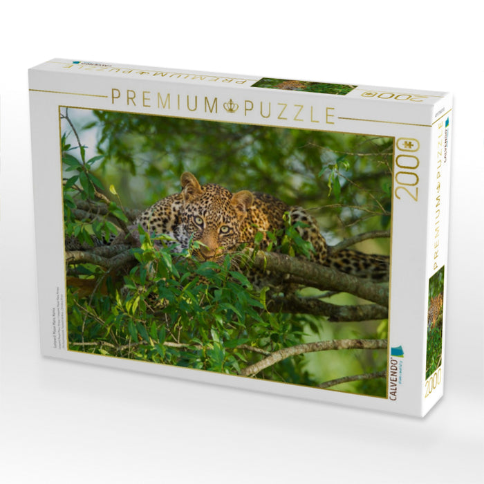 Leopard, Masai Mara, Kenia. - CALVENDO Foto-Puzzle'
