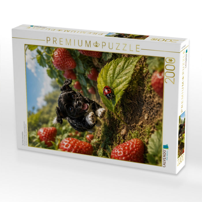 Der flinke Glückskäfer - CALVENDO Foto-Puzzle'