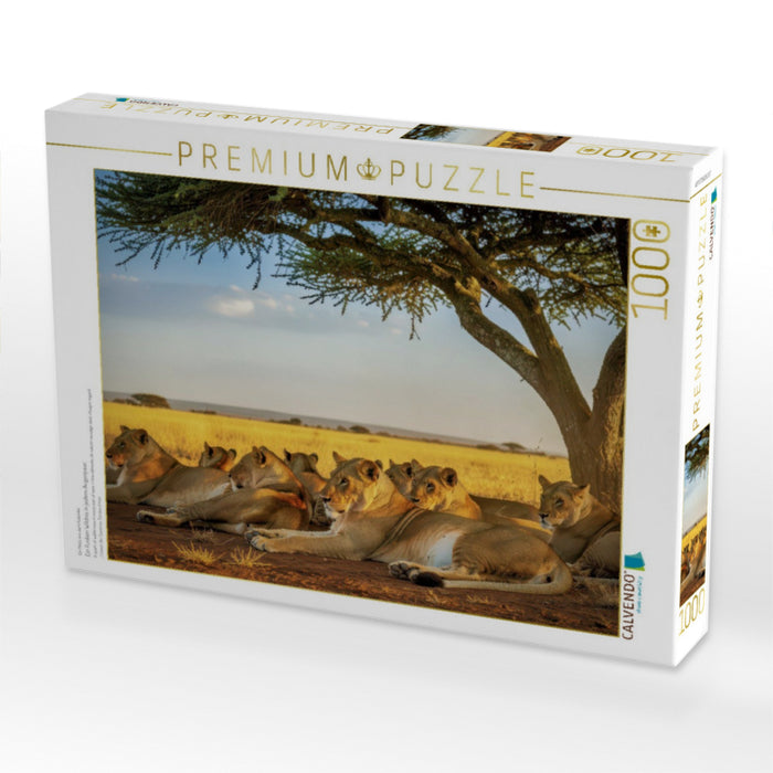 Ein Funken Wildnis in jedem Augenpaar. - CALVENDO Foto-Puzzle'