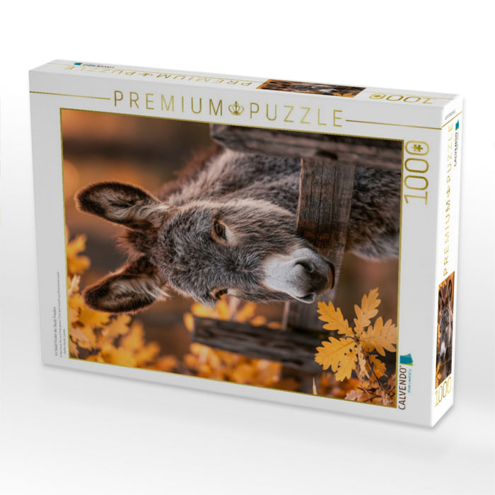 Im Wald findet die Seele Frieden - CALVENDO Foto-Puzzle'