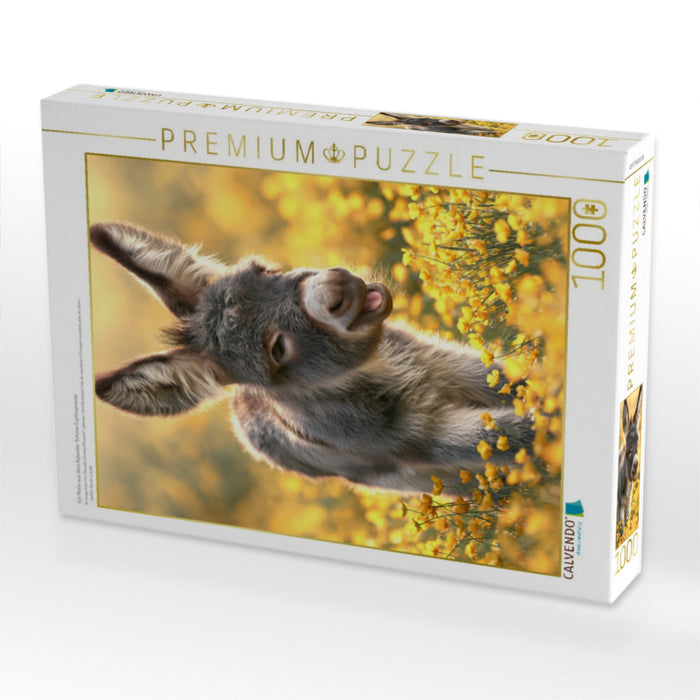 Ein Motiv aus dem Kalender Schöne Eselmomente - CALVENDO Foto-Puzzle'