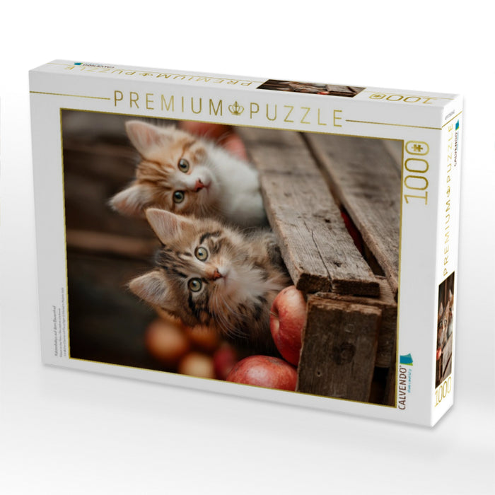 Katzenbabys auf dem Bauernhof - CALVENDO Foto-Puzzle'