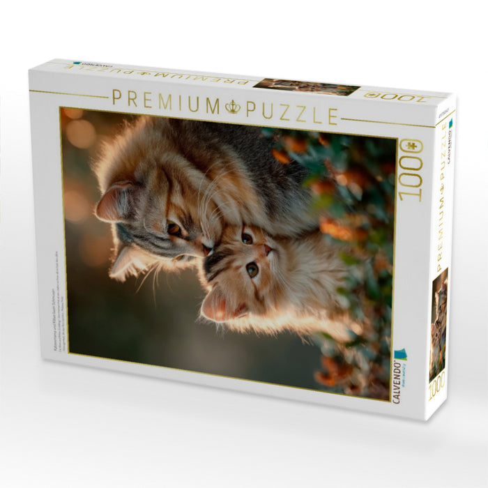 Katzenmama und Kitten beim Schmusen - CALVENDO Foto-Puzzle'