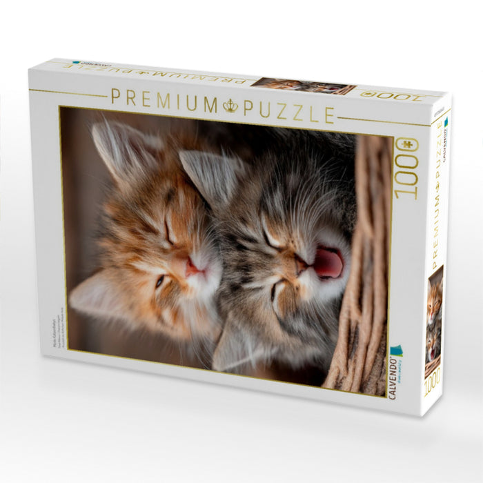 Müde Katzenbabys - CALVENDO Foto-Puzzle'