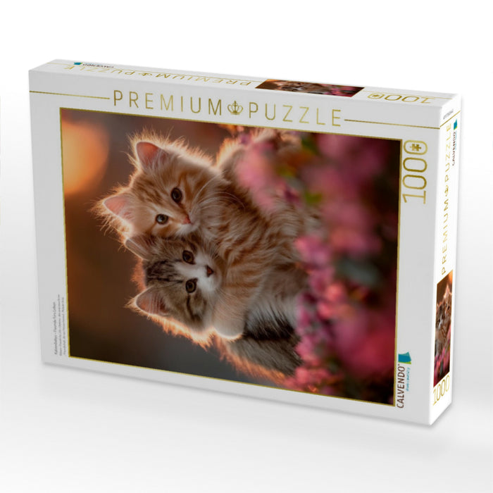 Katzenbabys - Freunde fürs Leben - CALVENDO Foto-Puzzle'