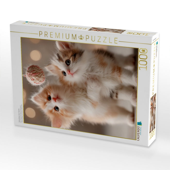 Katzenbabys beim Spielen - CALVENDO Foto-Puzzle'