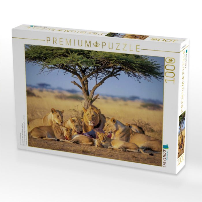 Löwen, die über die Steppe wachen. - CALVENDO Foto-Puzzle'